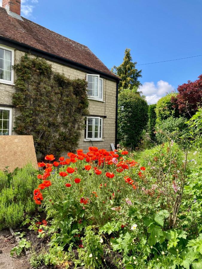 Charming Modernized Country Cottage Near Mere, Wiltshire Mere  Extérieur photo