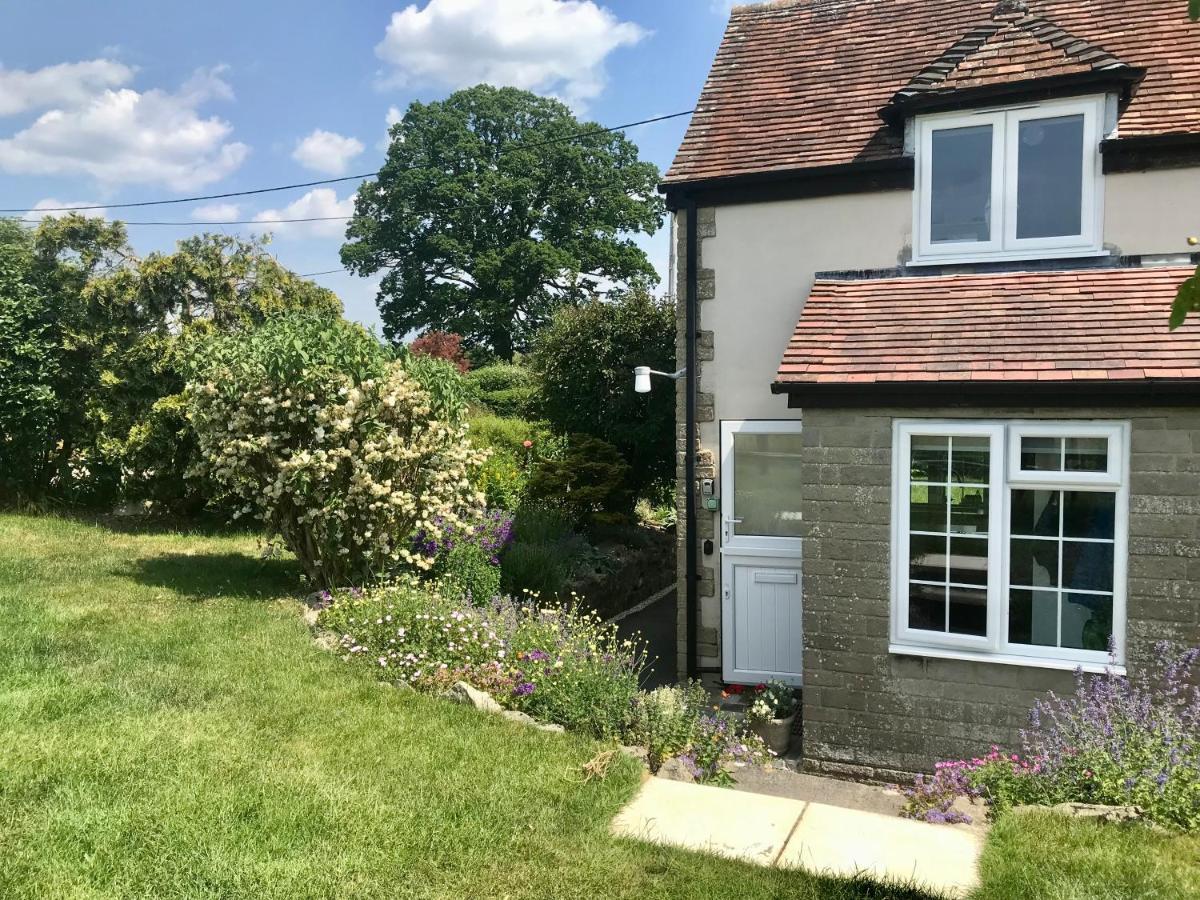 Charming Modernized Country Cottage Near Mere, Wiltshire Mere  Extérieur photo